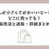 なんか小さくてかわいいどーる どこに売ってる